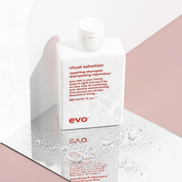 Shampoing réparateur - Evo | L.Avenue